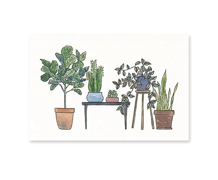 Houseplants Postcard