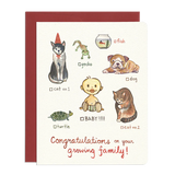 Cat, Dog, Baby Card