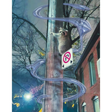Leslieville Raccoon Postcard