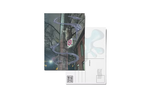 Leslieville Raccoon Postcard