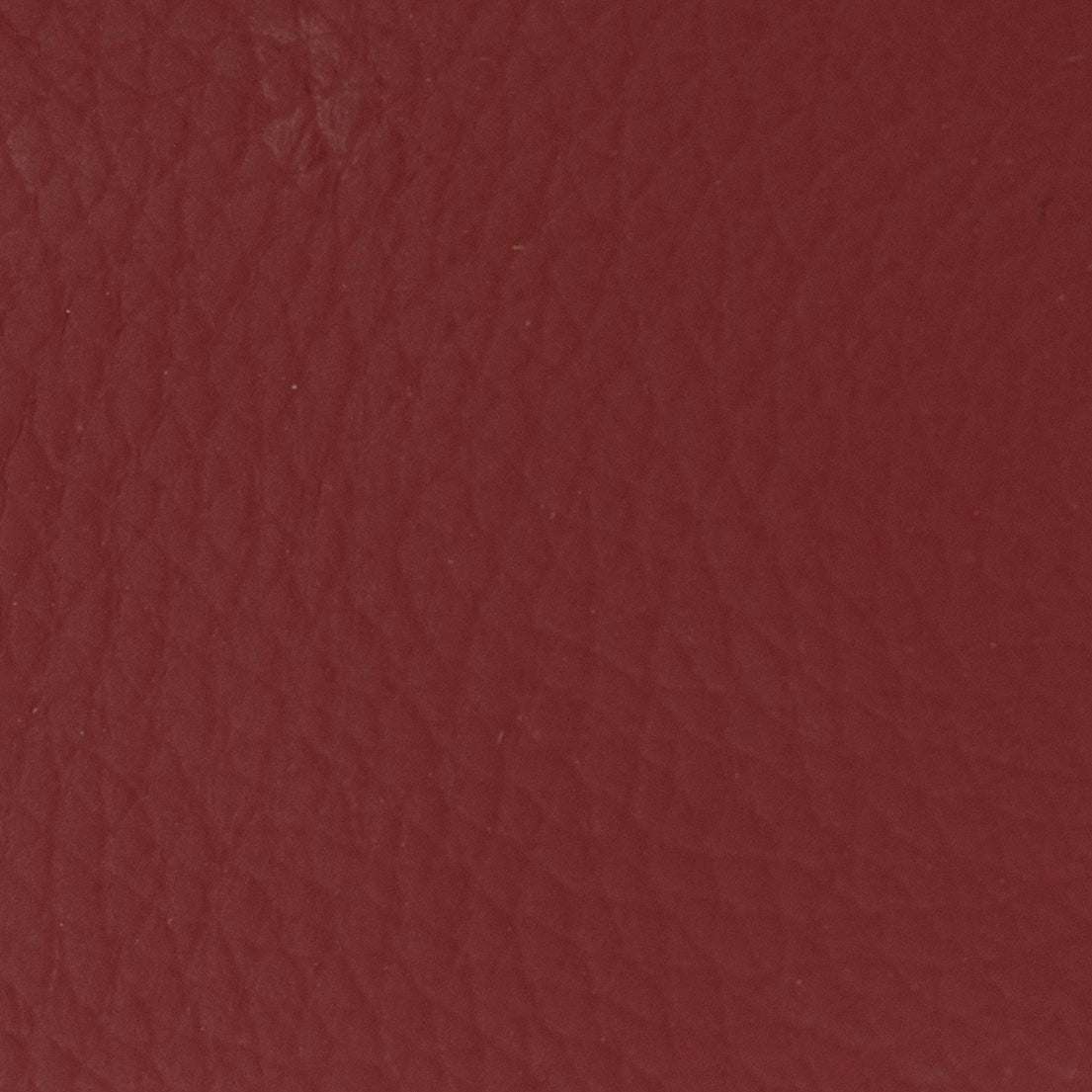 Carri Vertical Cardholder