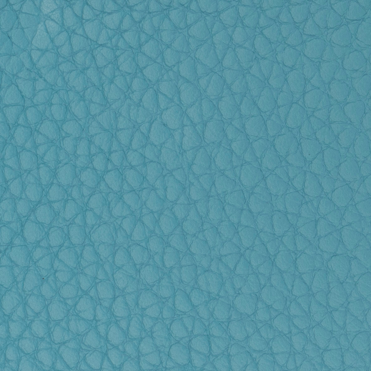 Carri Vertical Cardholder