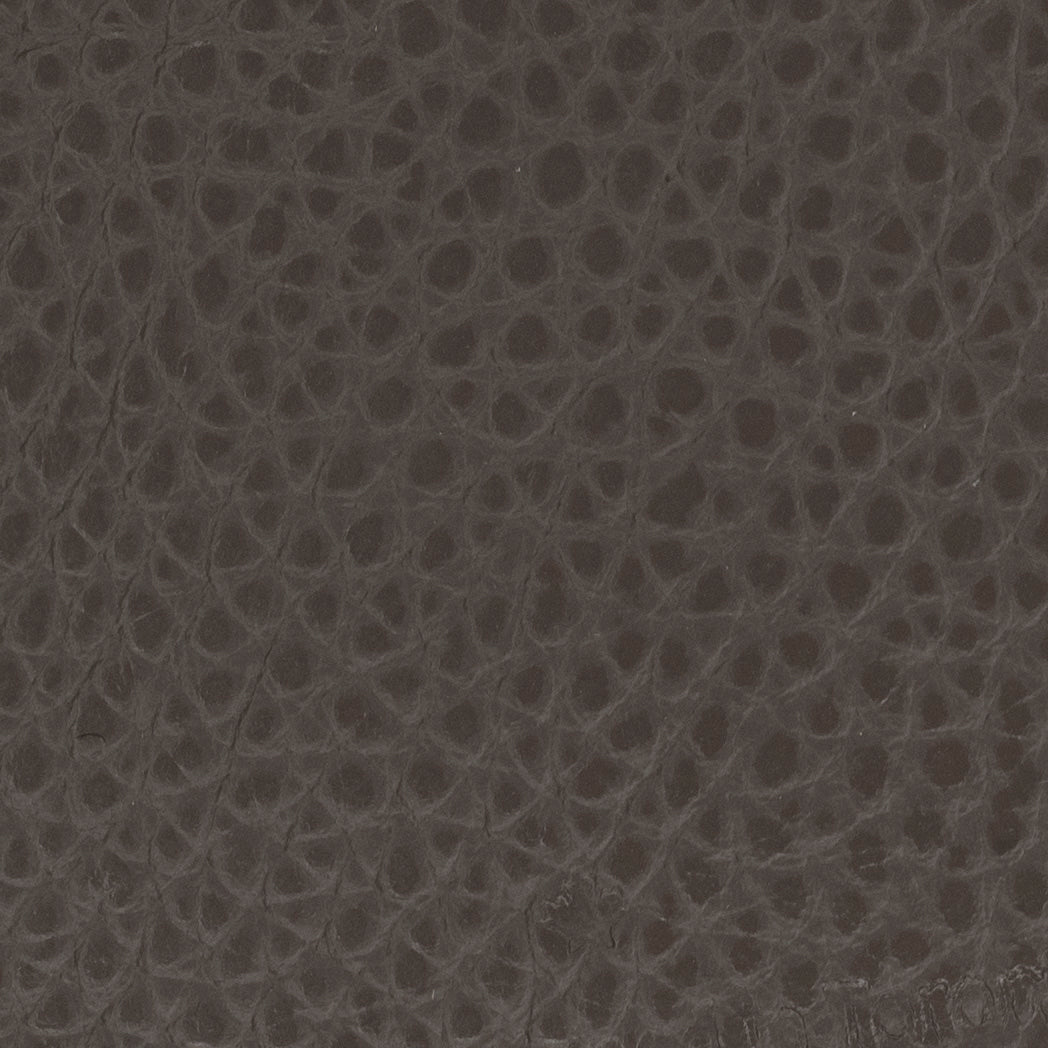 Carri Vertical Cardholder