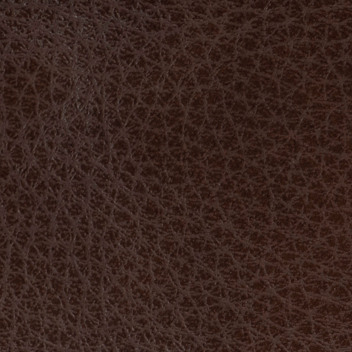 Carri Vertical Cardholder