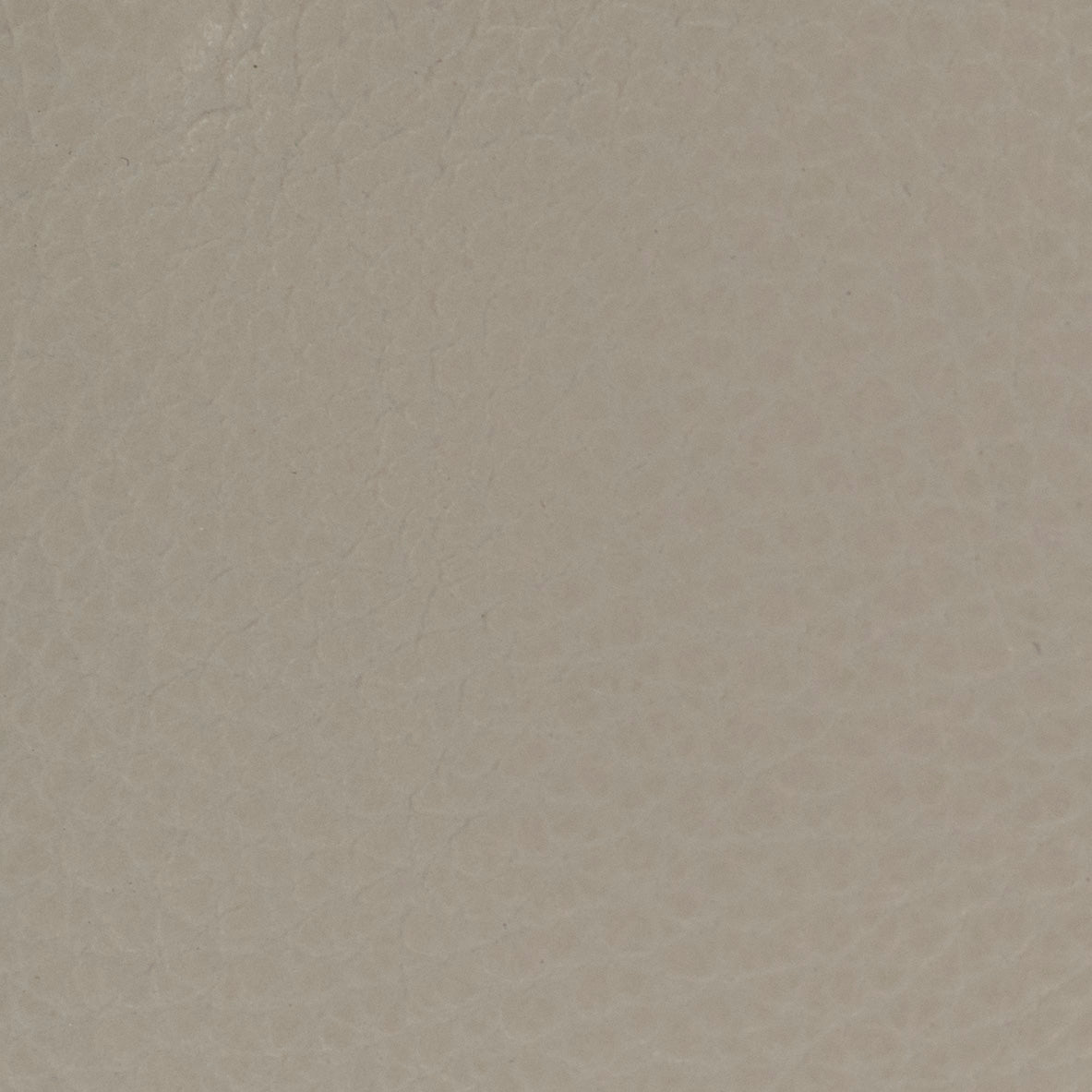 Carri Vertical Cardholder