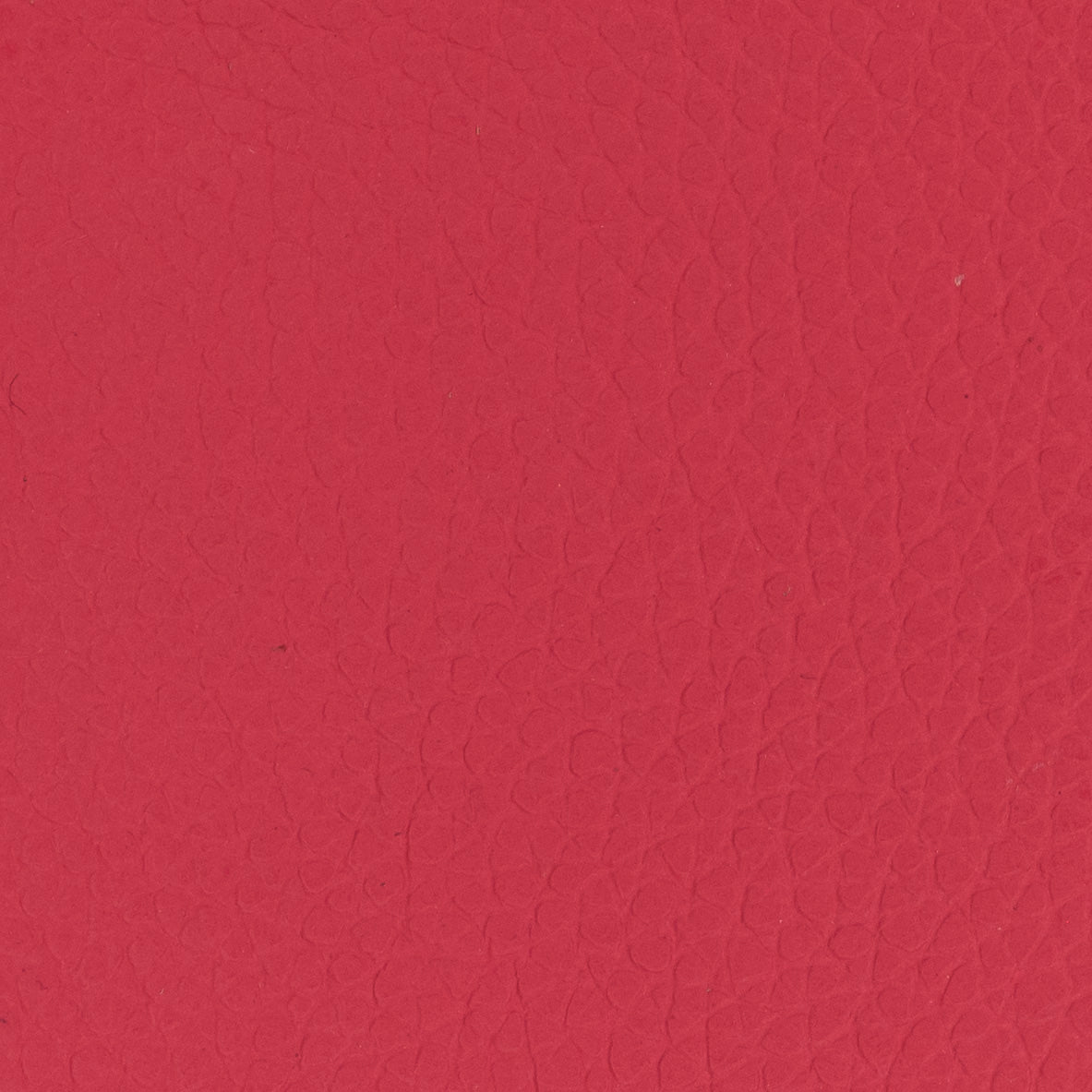 Carri Vertical Cardholder