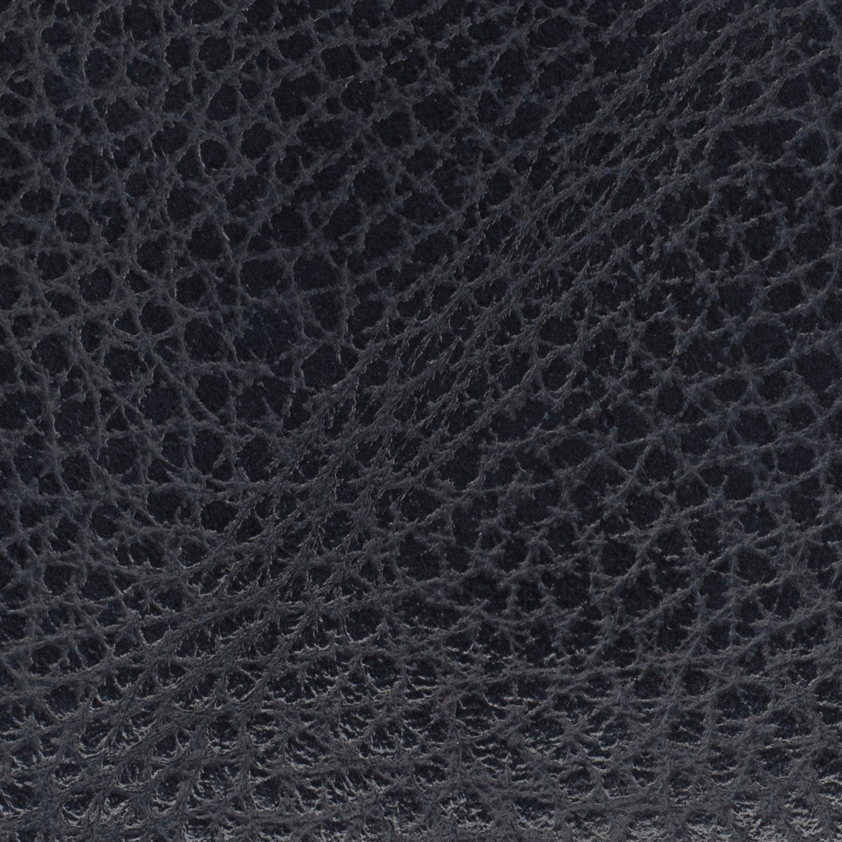 Carri Vertical Cardholder