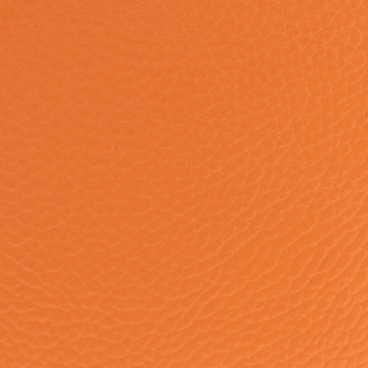 Carri Vertical Cardholder