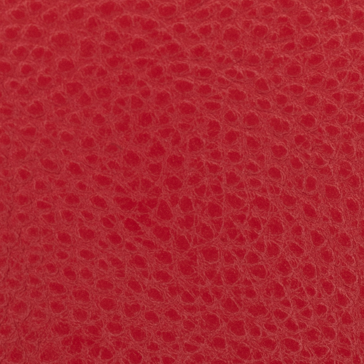 Carri Vertical Cardholder