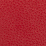 Carri Vertical Cardholder