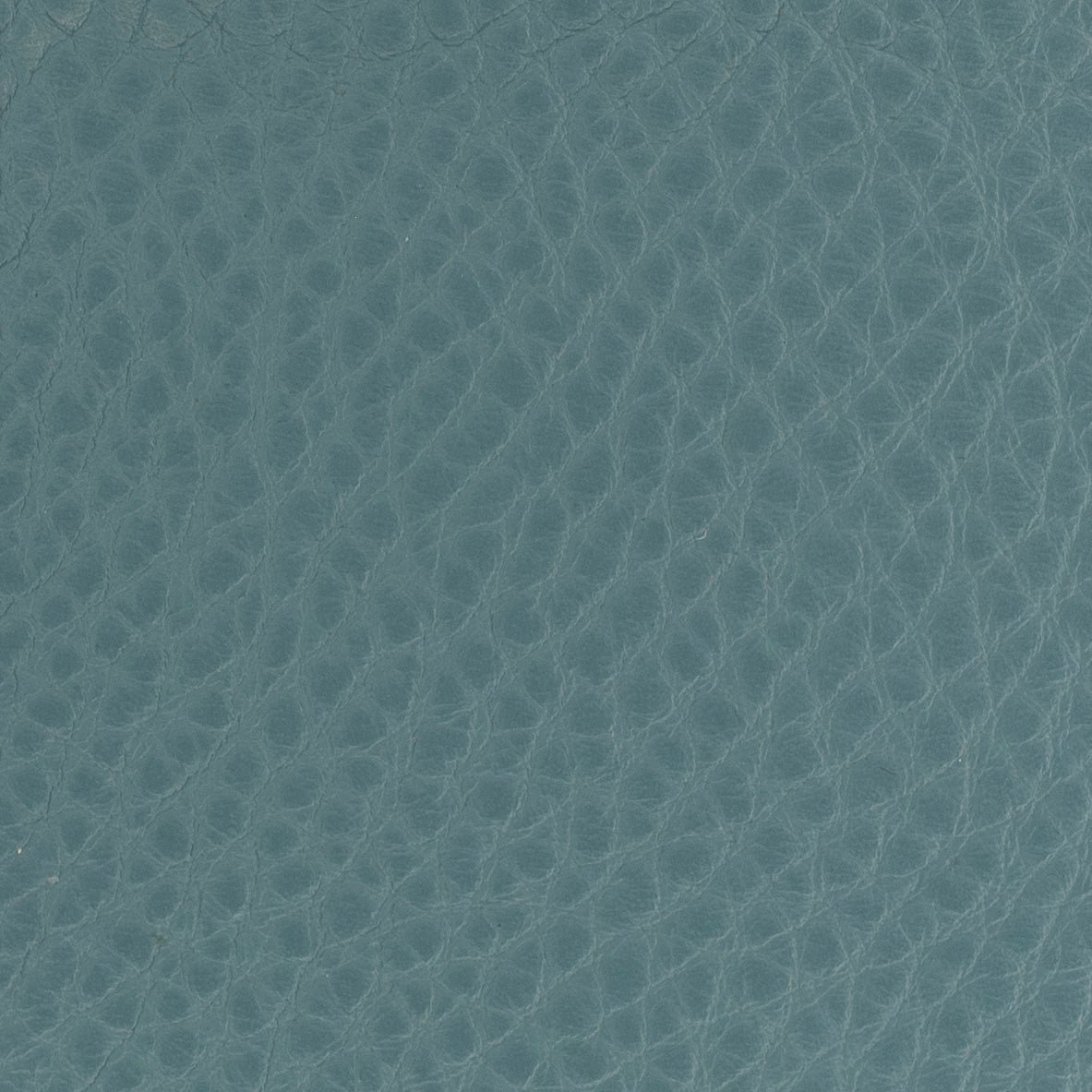 Carri Vertical Cardholder