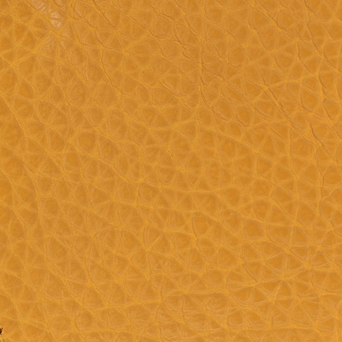 Carri Vertical Cardholder