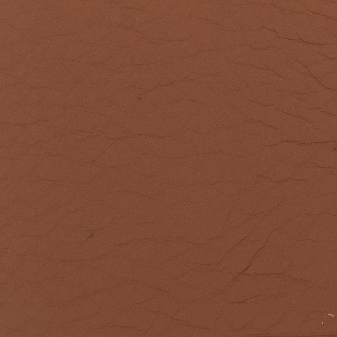 Carri Vertical Cardholder