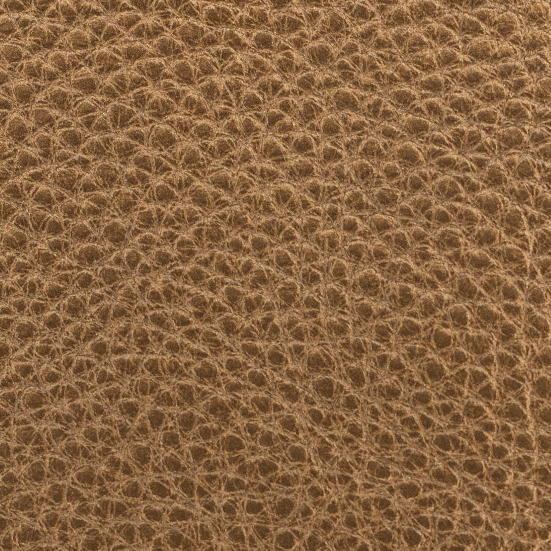 Cheer Classic Coinkeeper