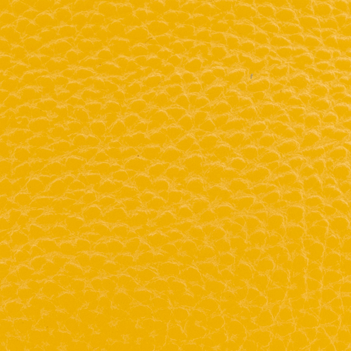 Cheer Classic Coinkeeper