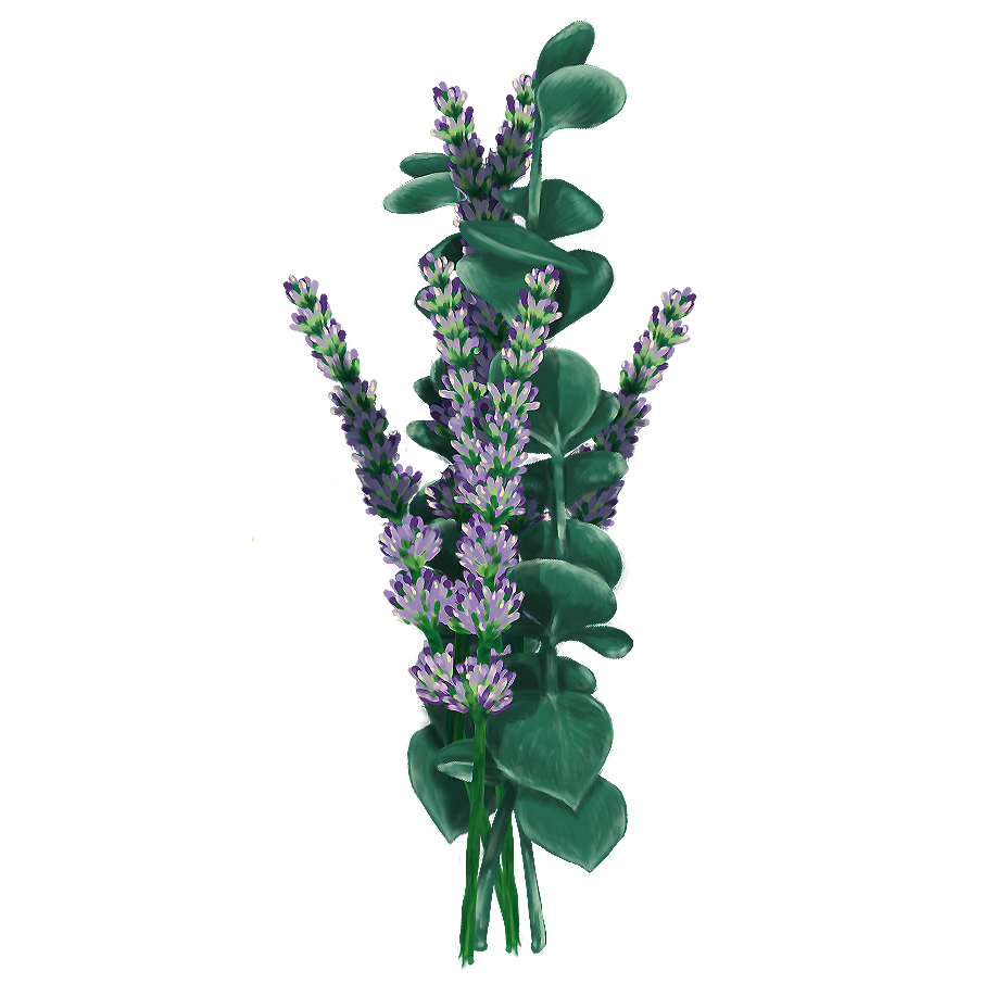 Eucalyptus & Lavender Bundle Sticker