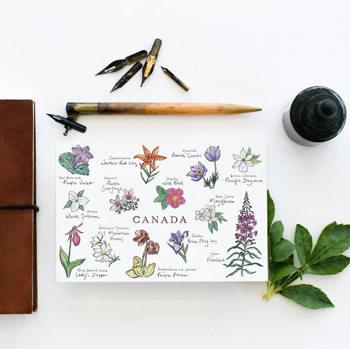 Canadian Wildflowers Postcard