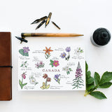 Canadian Wildflowers Postcard