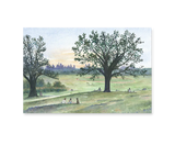 Riverdale Park Postcard