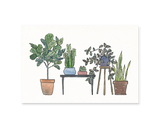 Houseplants Postcard