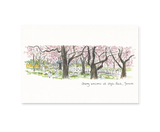 High Park Postcard
