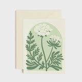 Queen Anne's Lace, Everyday Card
