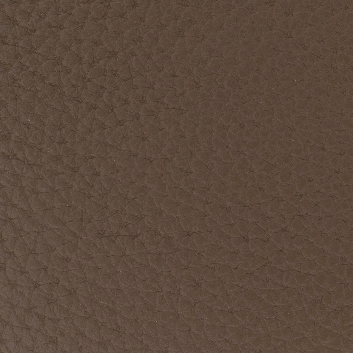 Cheer Classic Coinkeeper