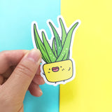 Aloe Vera Sticker