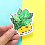 Philodendron Birkin Sticker