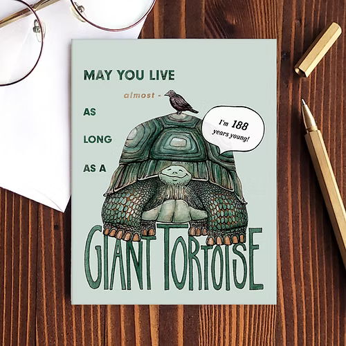Birthday Tortoise Card