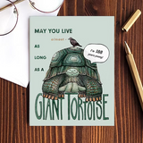 Birthday Tortoise Card