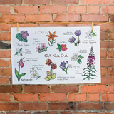 Canadian Wildflower Tea Towel