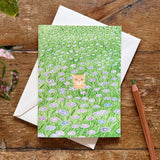 Cat in the Flower Bed