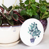 Natural Stone Coasters -  Circle Potted Pilea Plant