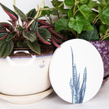 Natural Stone Coasters - Square Snake Plant