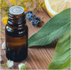 Essential Oil - Wintergreen