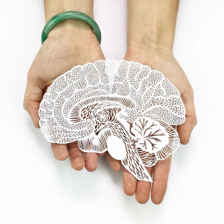 Light + Paper Studio - ANATOMICAL BRAIN PAPERCUTTING ARTWORK