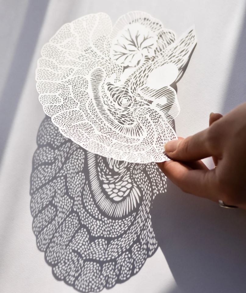 Light + Paper Studio - ANATOMICAL BRAIN PAPERCUTTING ARTWORK