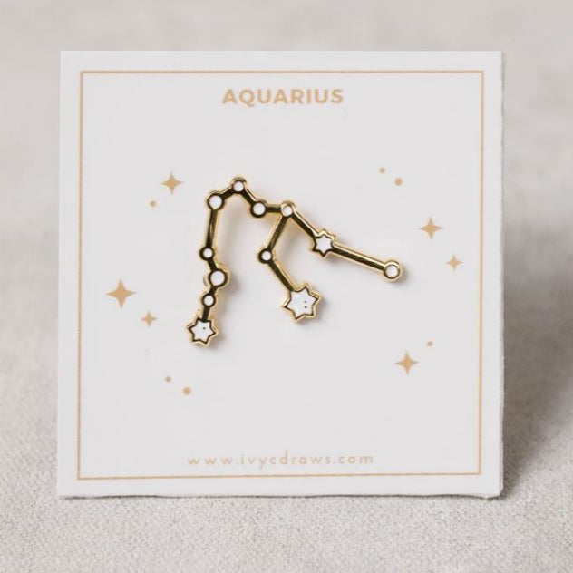 Zodiac Pin Aquarius