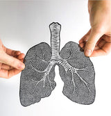 Anatomical Lungs (black) Papercut Art
