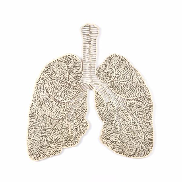 Anatomical Lungs Wooden Artwork