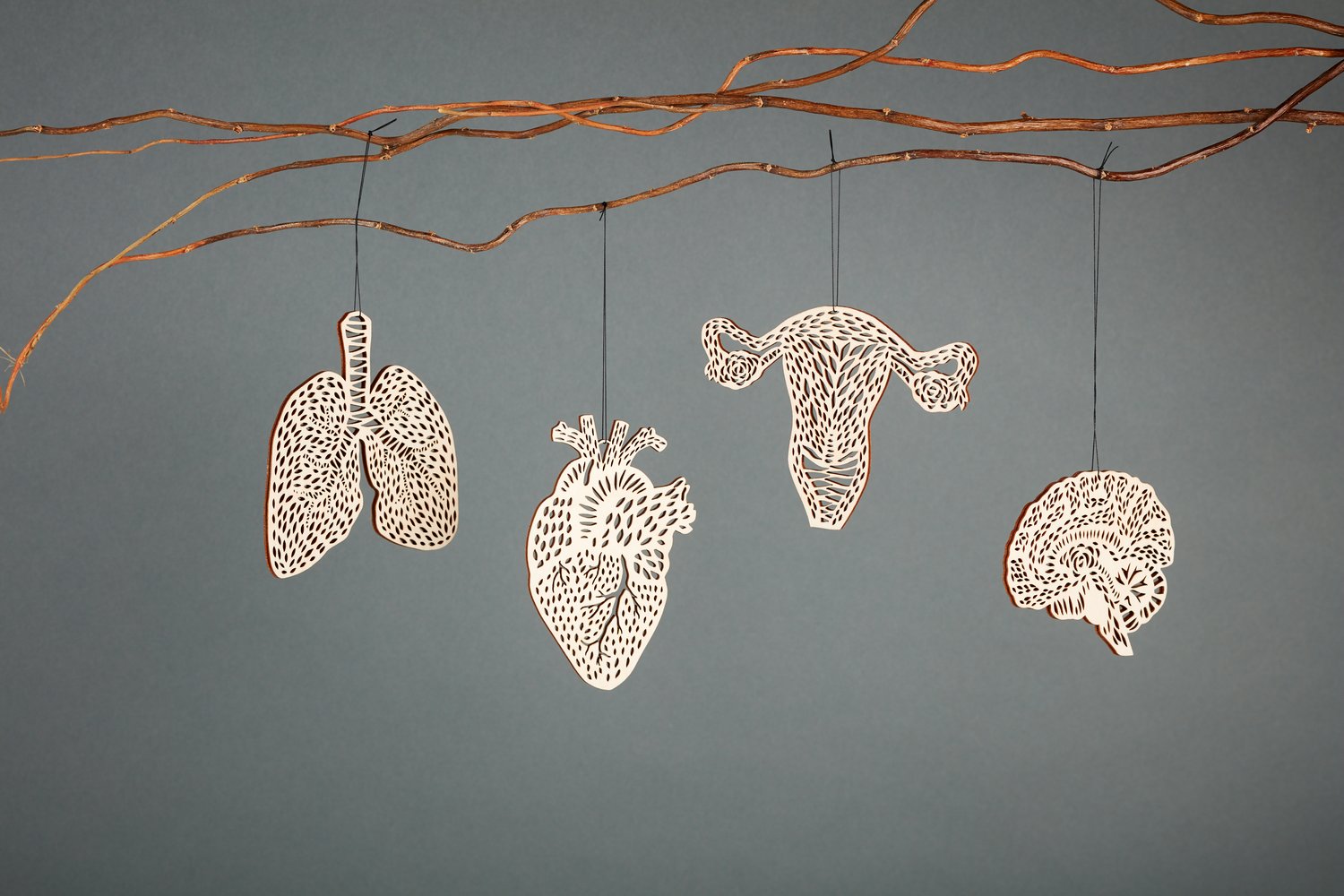 Anatomy Heart Ornament