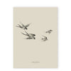 Baltic Club - Swallows 8x10" Art Print