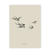 Swallows 12x18" Art Print