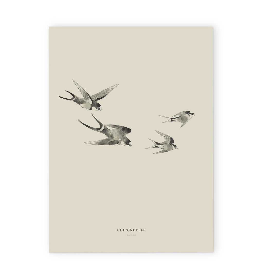 Baltic Club - Swallows 12x18" Art Print