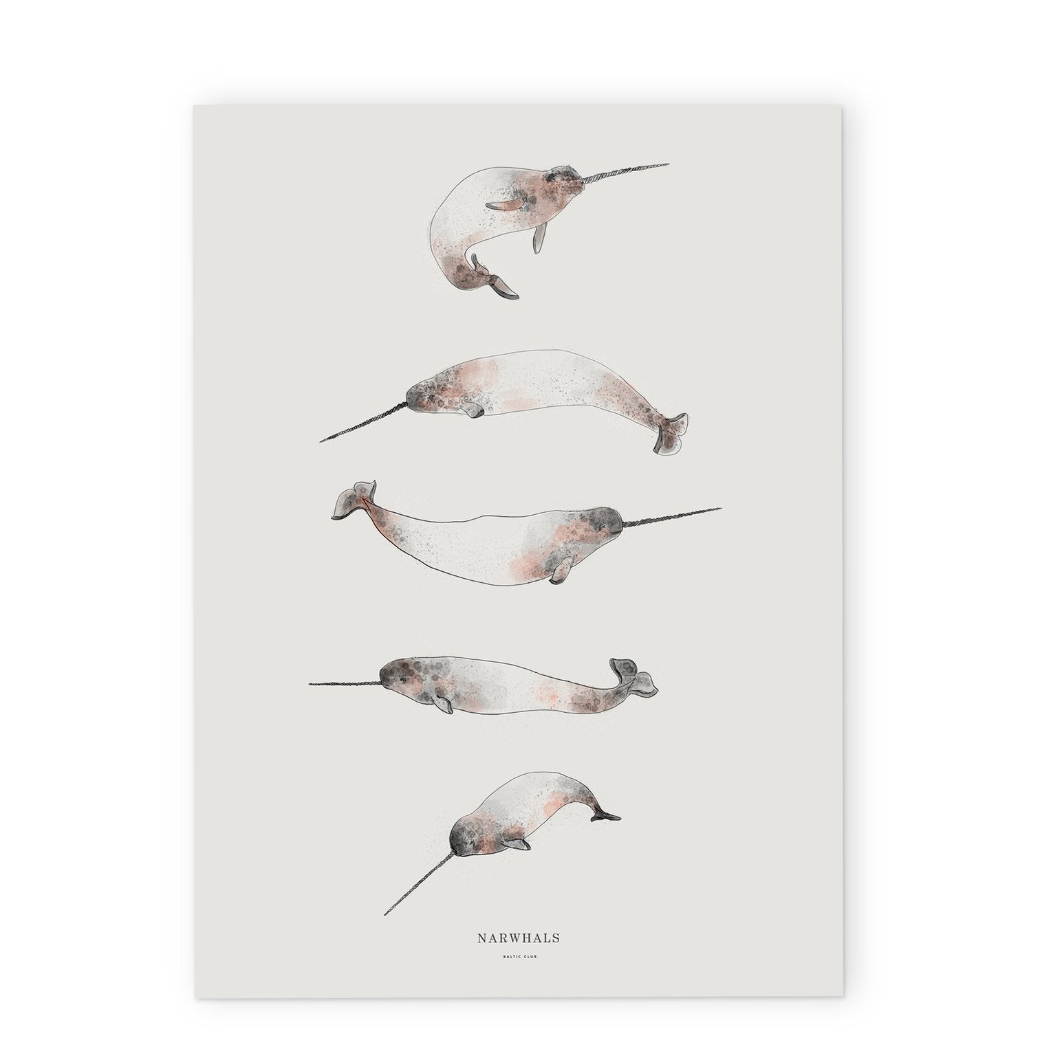 Narwhals 24x36" Art Print
