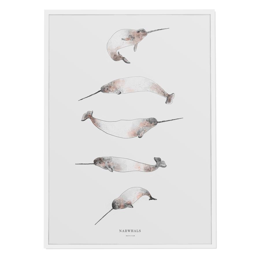 Narwhals 24x36" Art Print