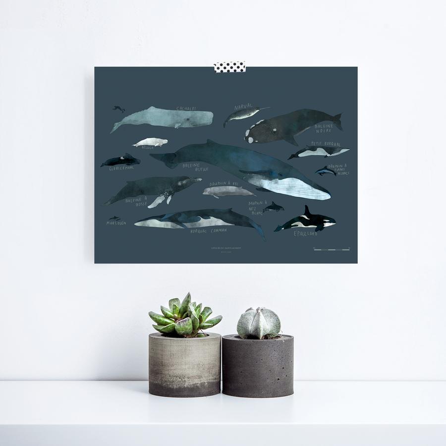 Whales 12x18" Art Print