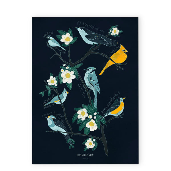Baltic Club - Canadian Birds Oiseaux 12x18" Art Print
