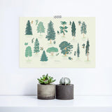Canadian Trees Arboretum Art Print 24x36" Art Print